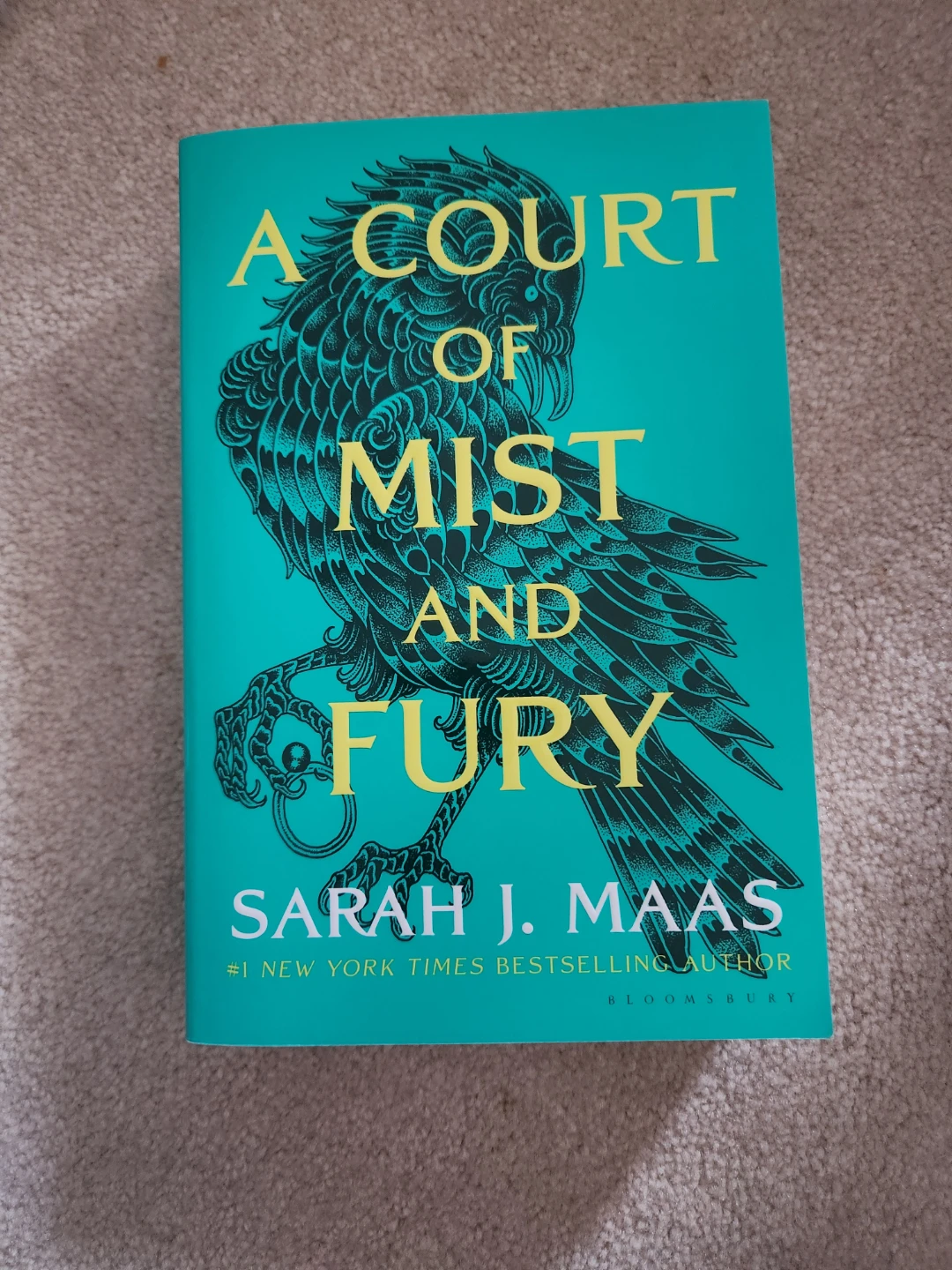 A Court of Thorns and Roses Series by Sarah J. Maas - photo 3