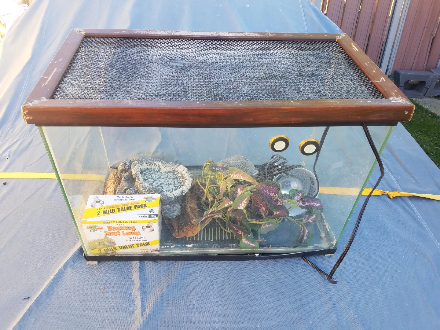 Reptile Habitat Tank with Accessories