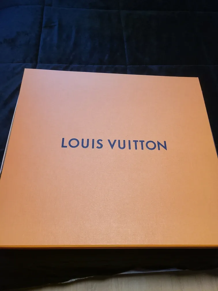 Louis Vuitton All In MM Tote image indicator(9)