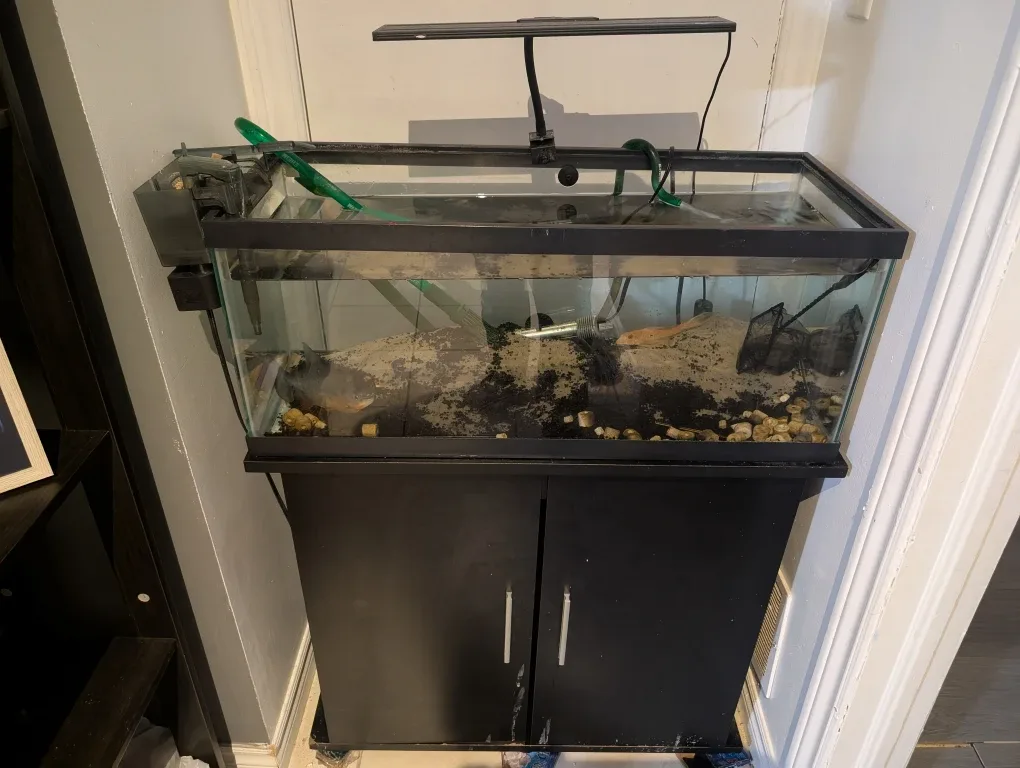 Fish tank image indicator(2)