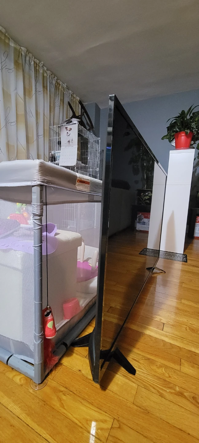 LG TV - photo 3