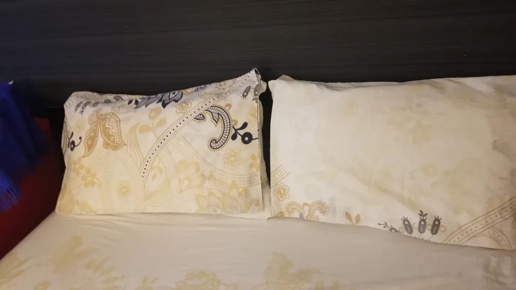 Bedsheet and Two Pillowcase image indicator(4)