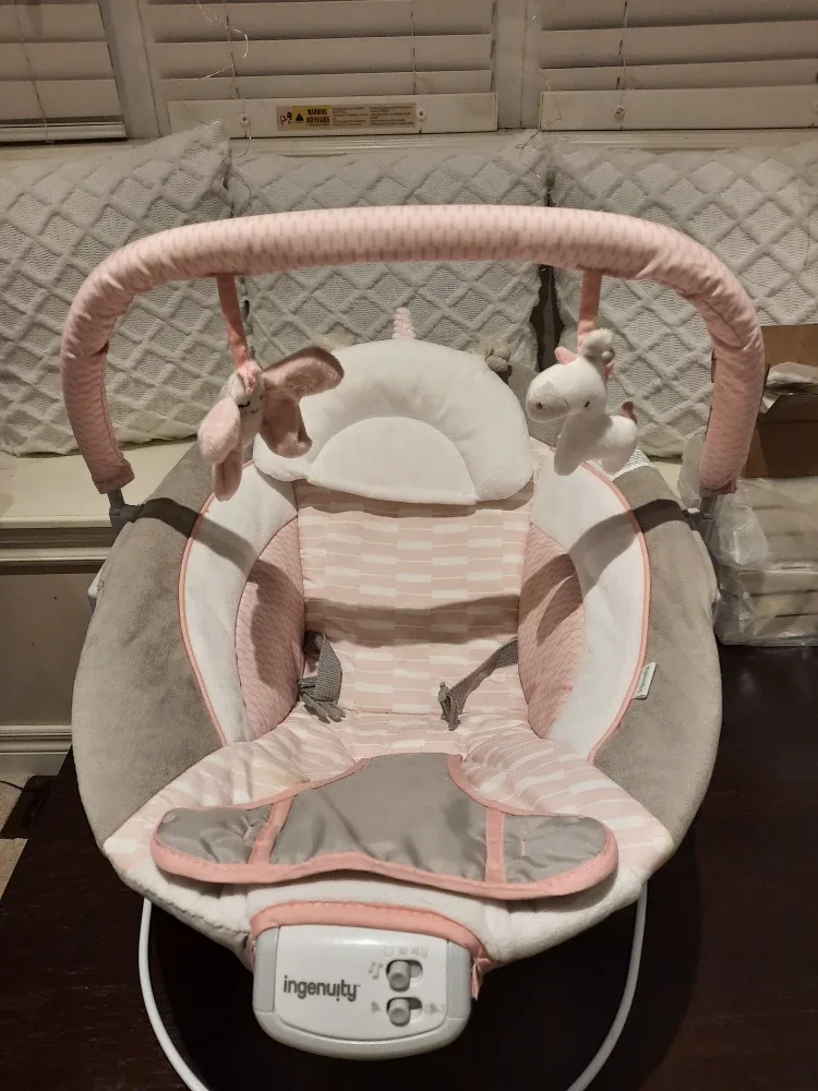 Ingenuity Baby Bouncer