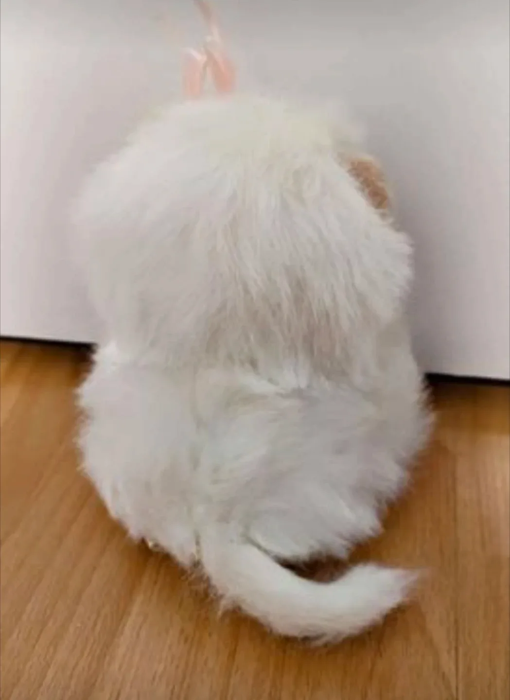 Vintage Fluffy White Teddy Bear with Heart Frame image indicator(2)