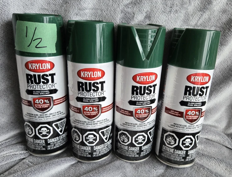 Krylon Rust Protector Gloss Enamel Spray Paint - Dark Green