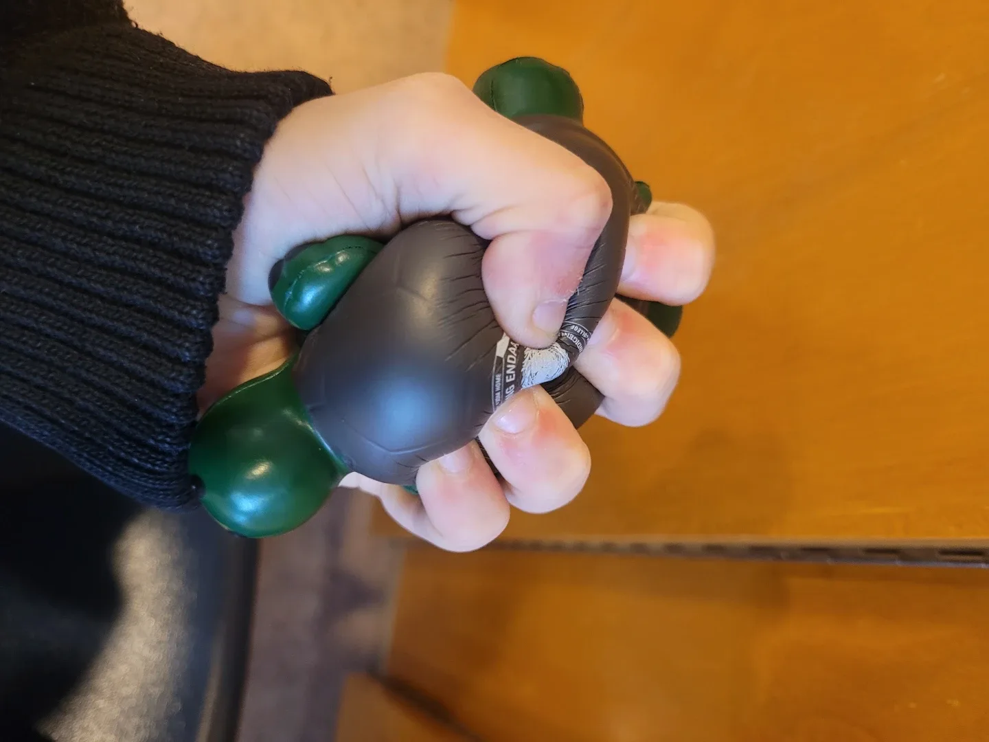 Turtle Stress Ball - Durham College image indicator(3)