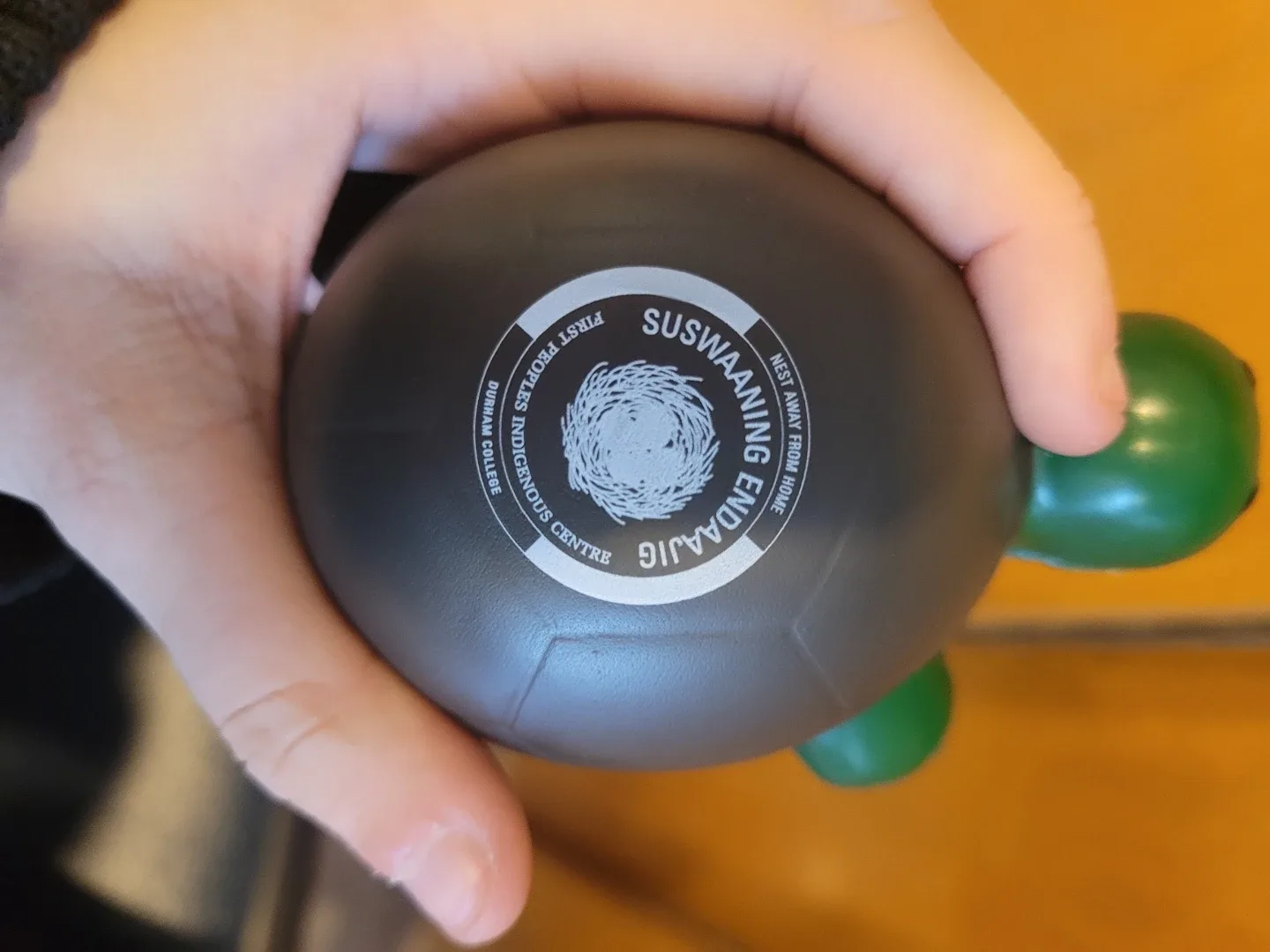 Turtle Stress Ball - Durham College image indicator(4)
