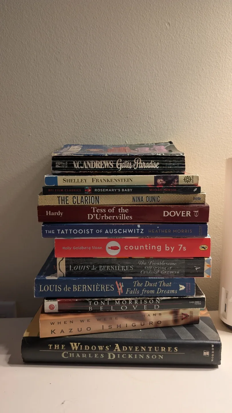 Stack of novels thumbnail