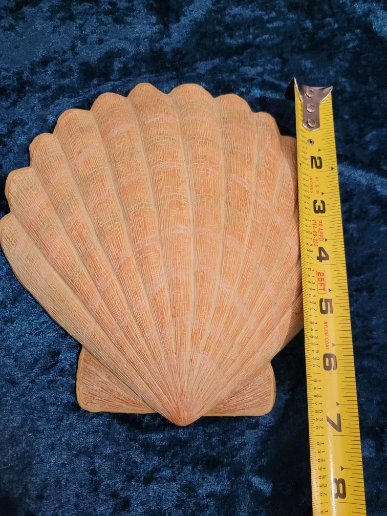 Seashell Wall Decor image indicator(3)