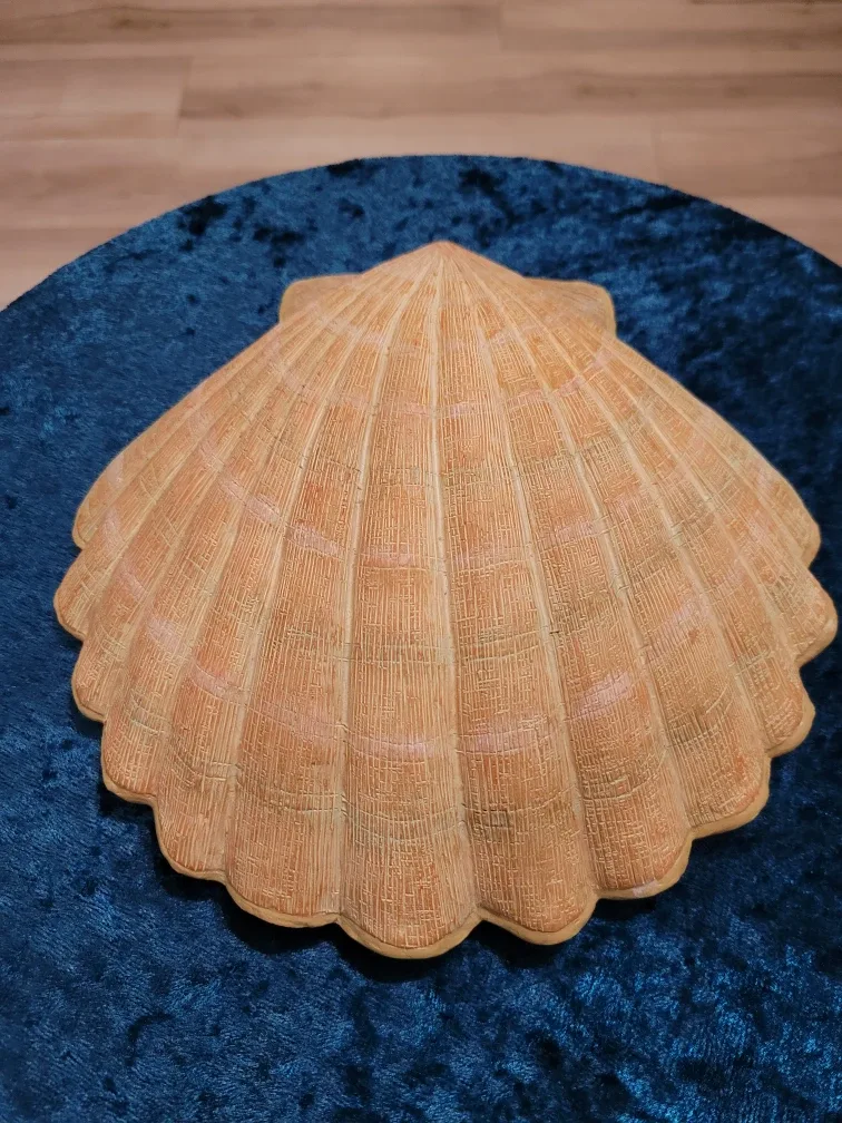 Seashell Wall Decor image indicator(6)