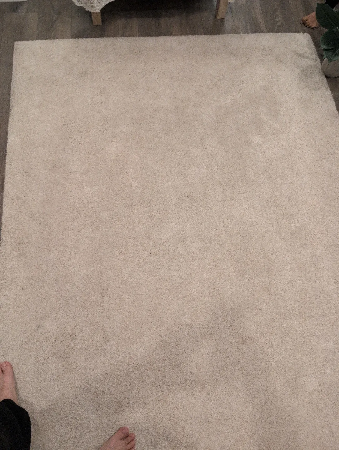 IKEA STOENSE Rug, Low Pile, Off-White - 5'7" x 7'10" image indicator(5)