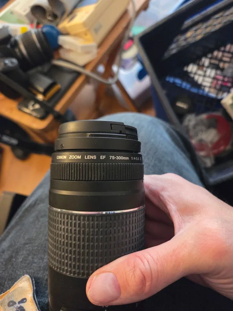 Canon Zoom Lens EF 75-300mm