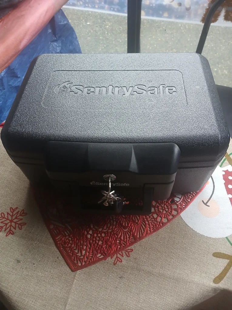 SentrySafe Fireproof Safe Box