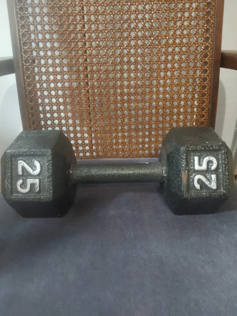 25 lb Dumbbell