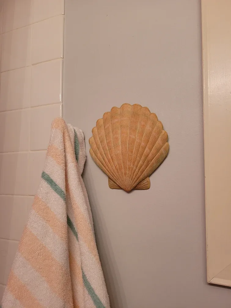 Seashell Wall Decor