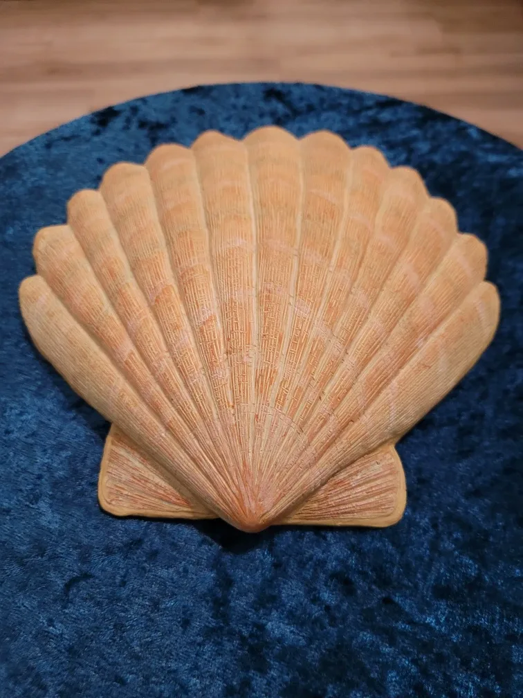Seashell Wall Decor image indicator(2)