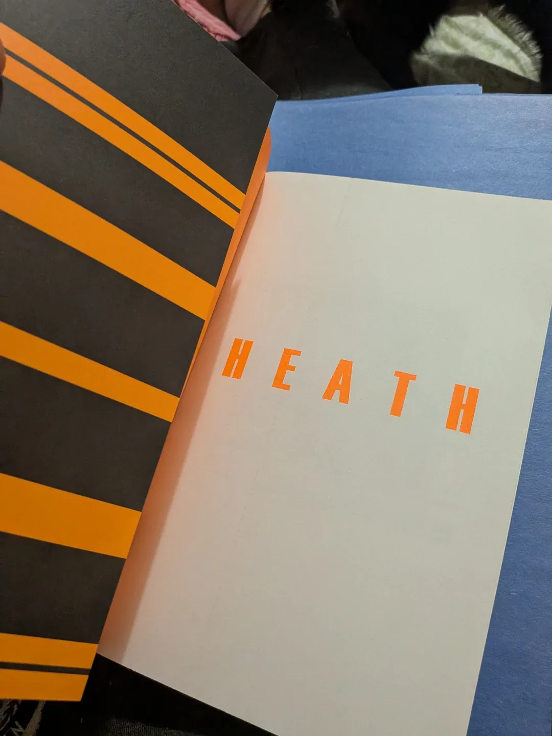 Heath: A Family's Tale by Janet Fife-Yeomans book image indicator(5)