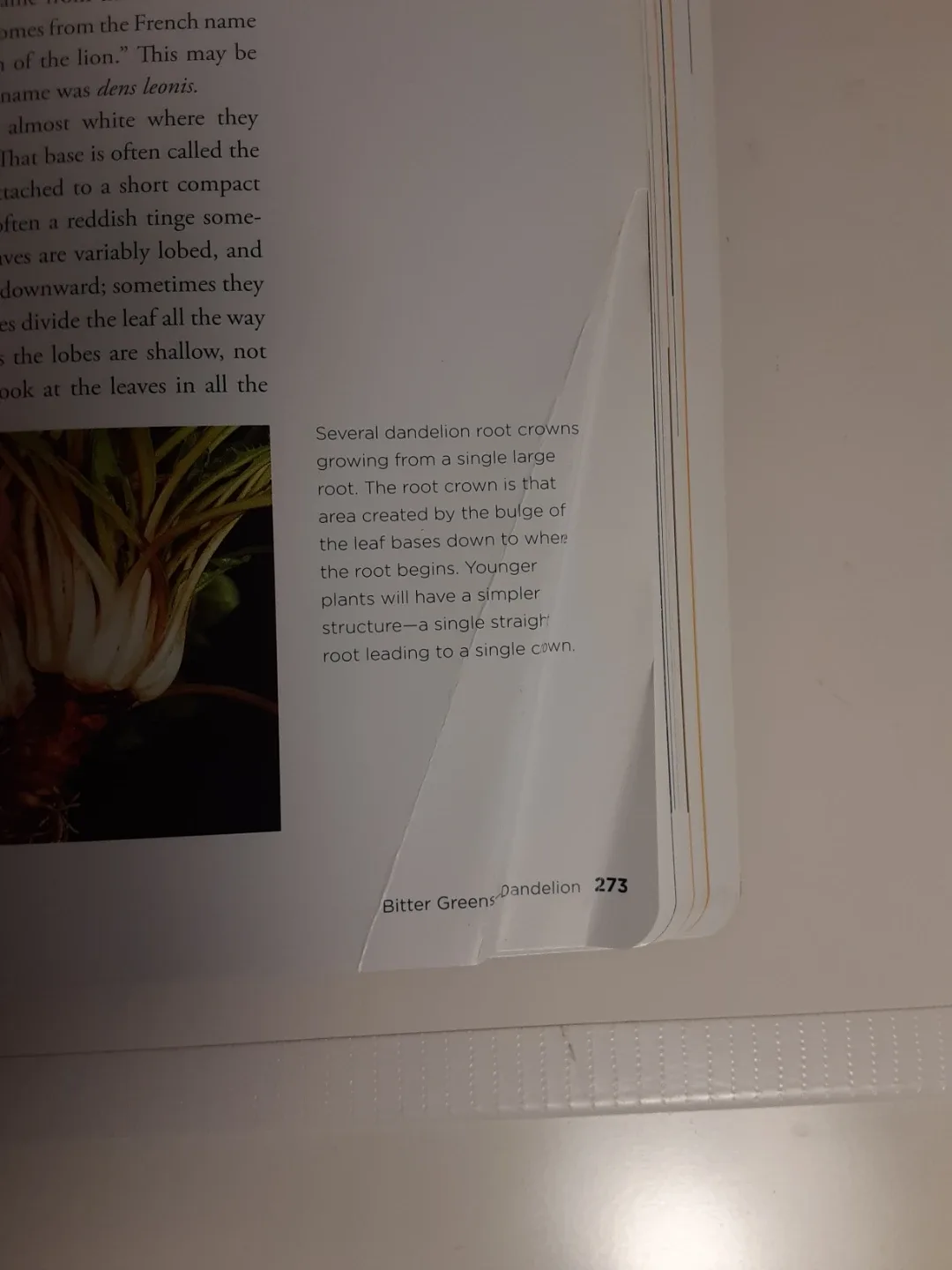 Edible Wild Plants - Wild Food Aventure Series image indicator(8)