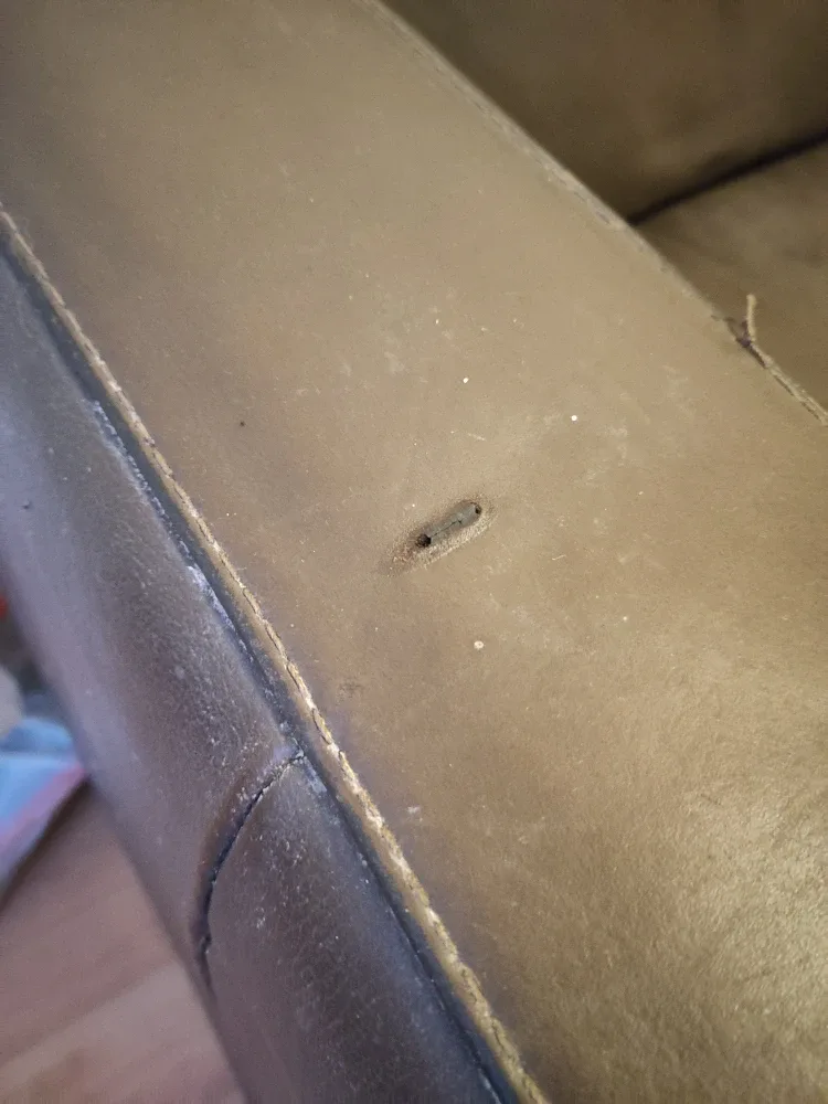 Brown Leather Sofa - two seating image indicator(4)