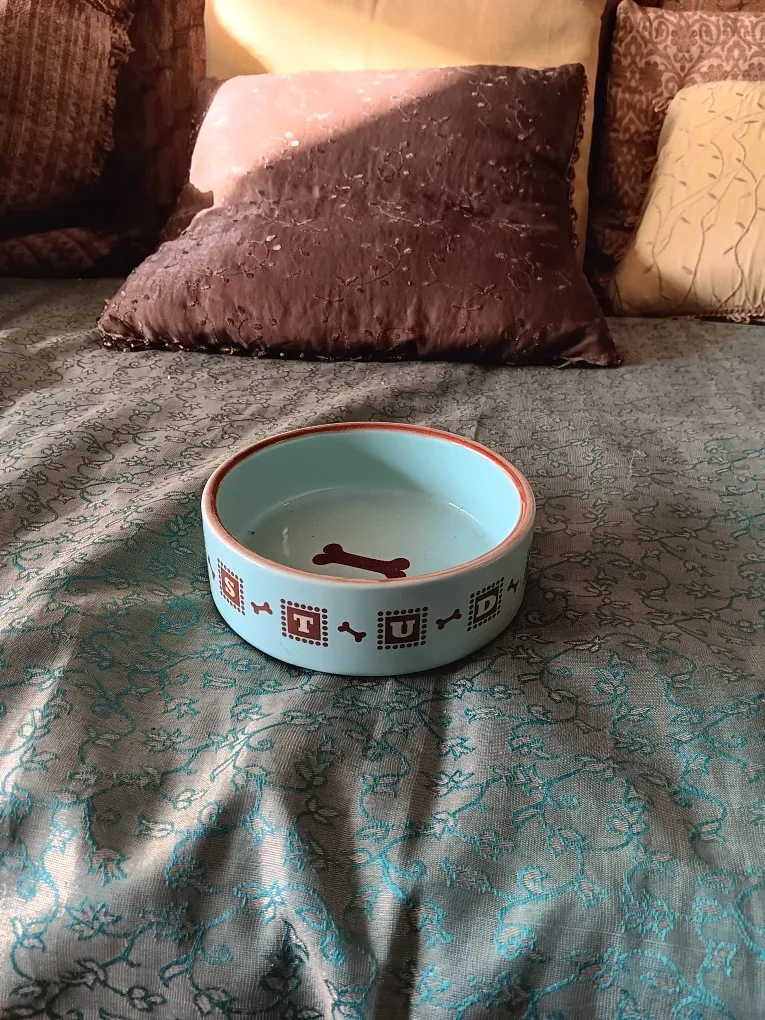 Top Paw Dog Bowl - Cute Bone Design!