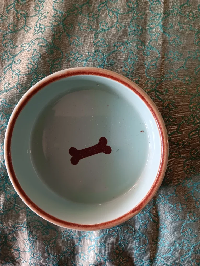 Top Paw Dog Bowl - Cute Bone Design! image indicator(3)