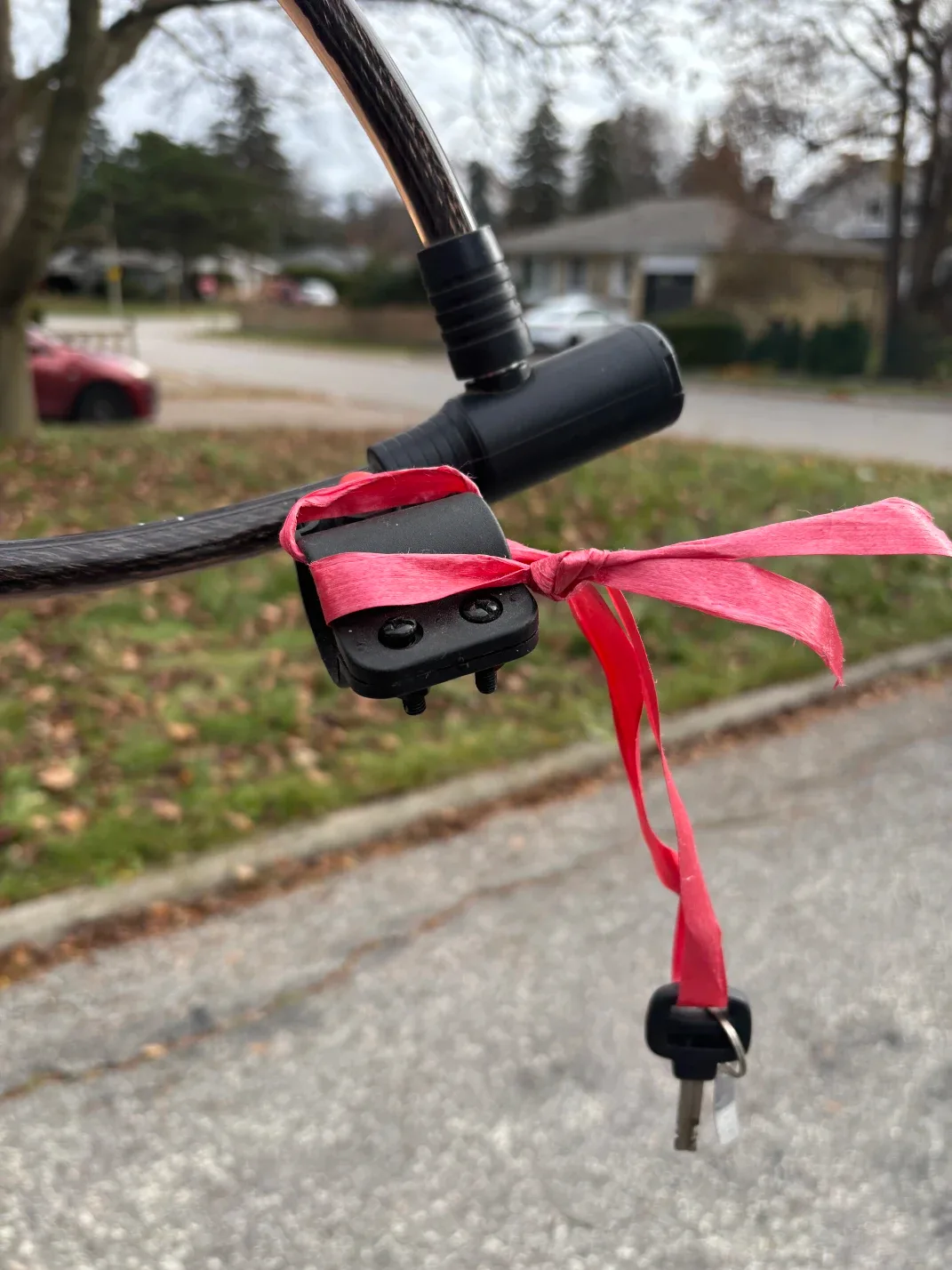 Raleigh Bike Lock with Key image indicator(3)