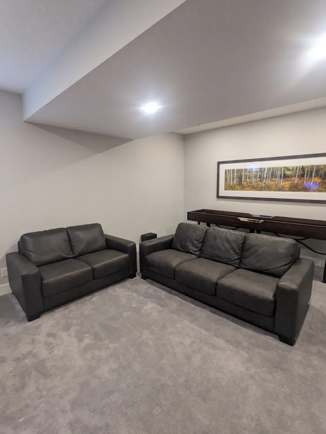 Faux Leather Sofa and Loveseat Set - Dark Grey