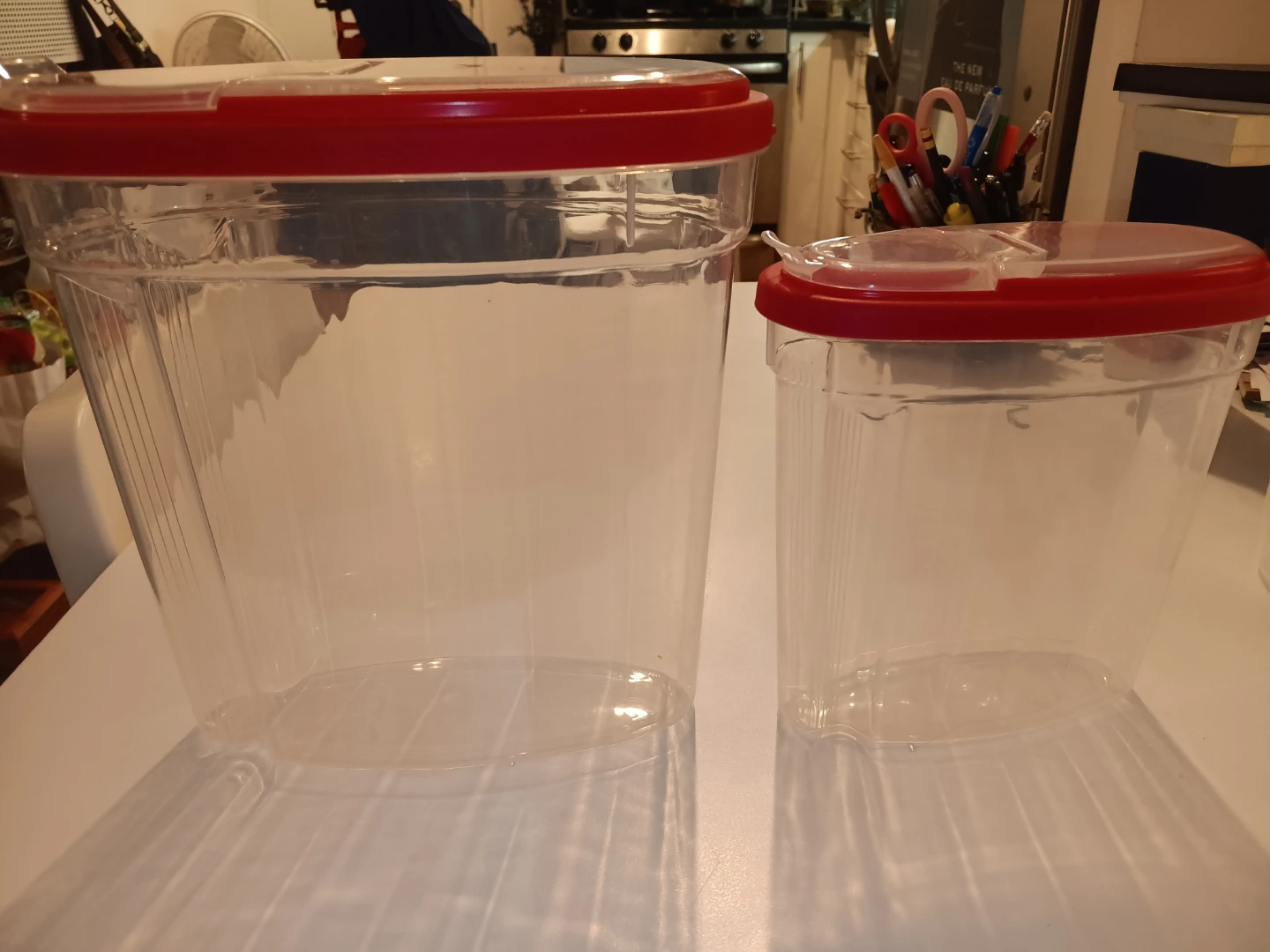 Two Clear Plastic Food Storage Containers - photo 2
