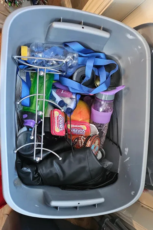 Free Mixed Items in Bin