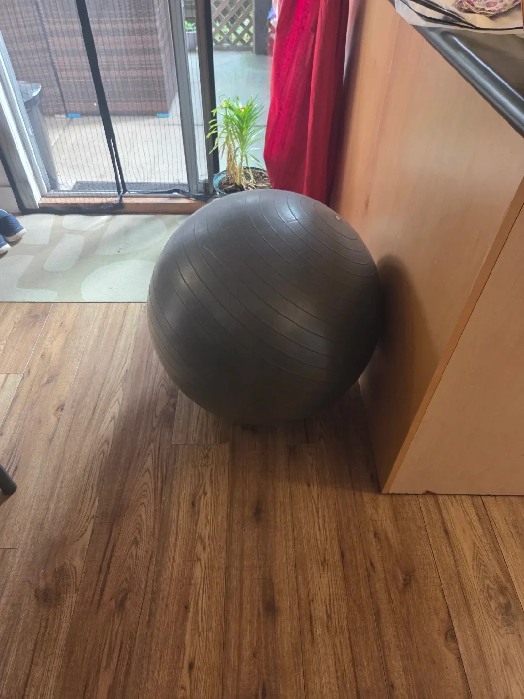 Reehut Exercise Ball