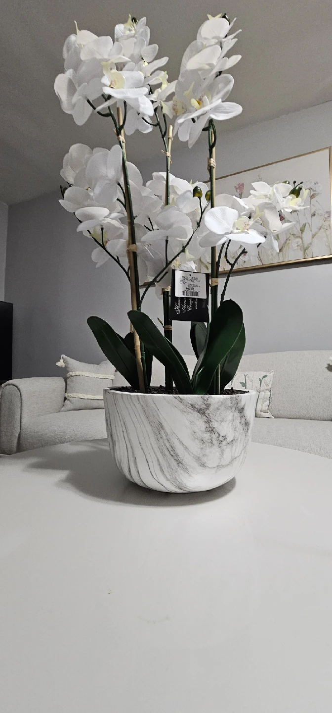 Homesense White Orchid in Marble Bowl - photo 2