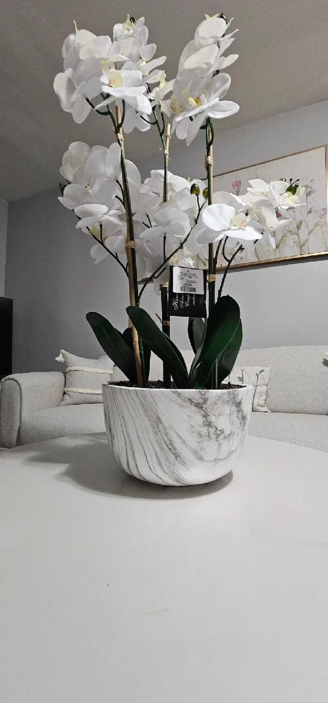 Homesense White Orchid in Marble Bowl image indicator(2)