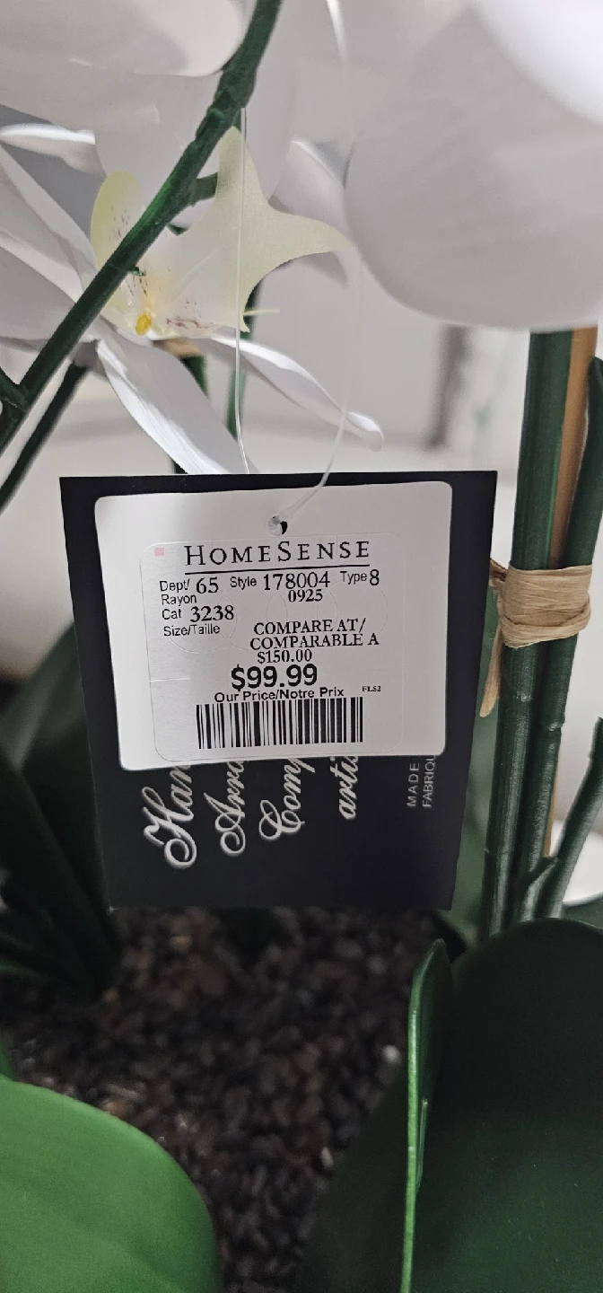 Homesense White Orchid in Marble Bowl - photo 3