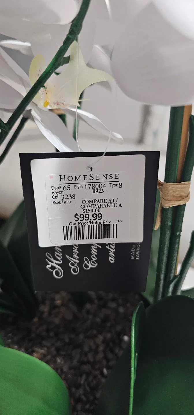 Homesense White Orchid in Marble Bowl image indicator(3)