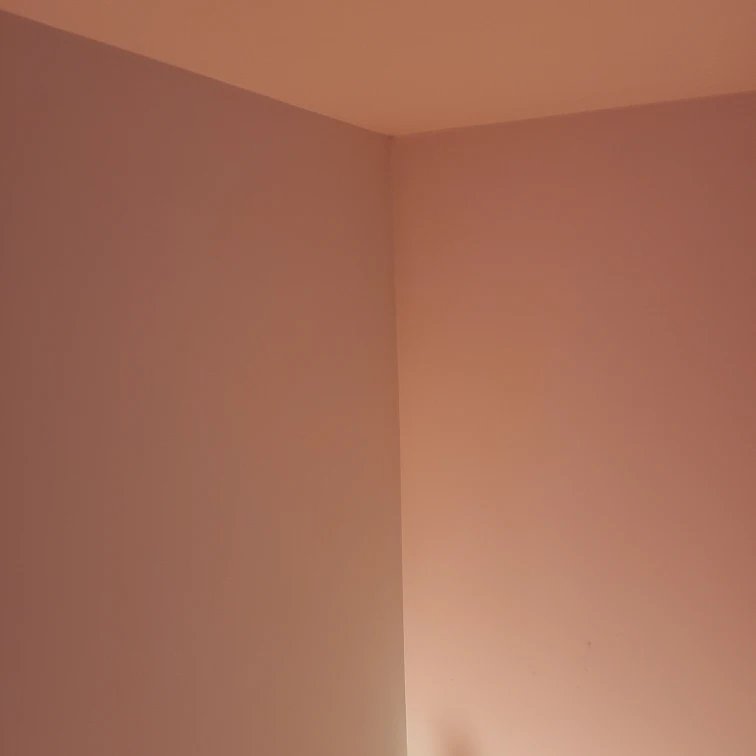 Looking for room mate