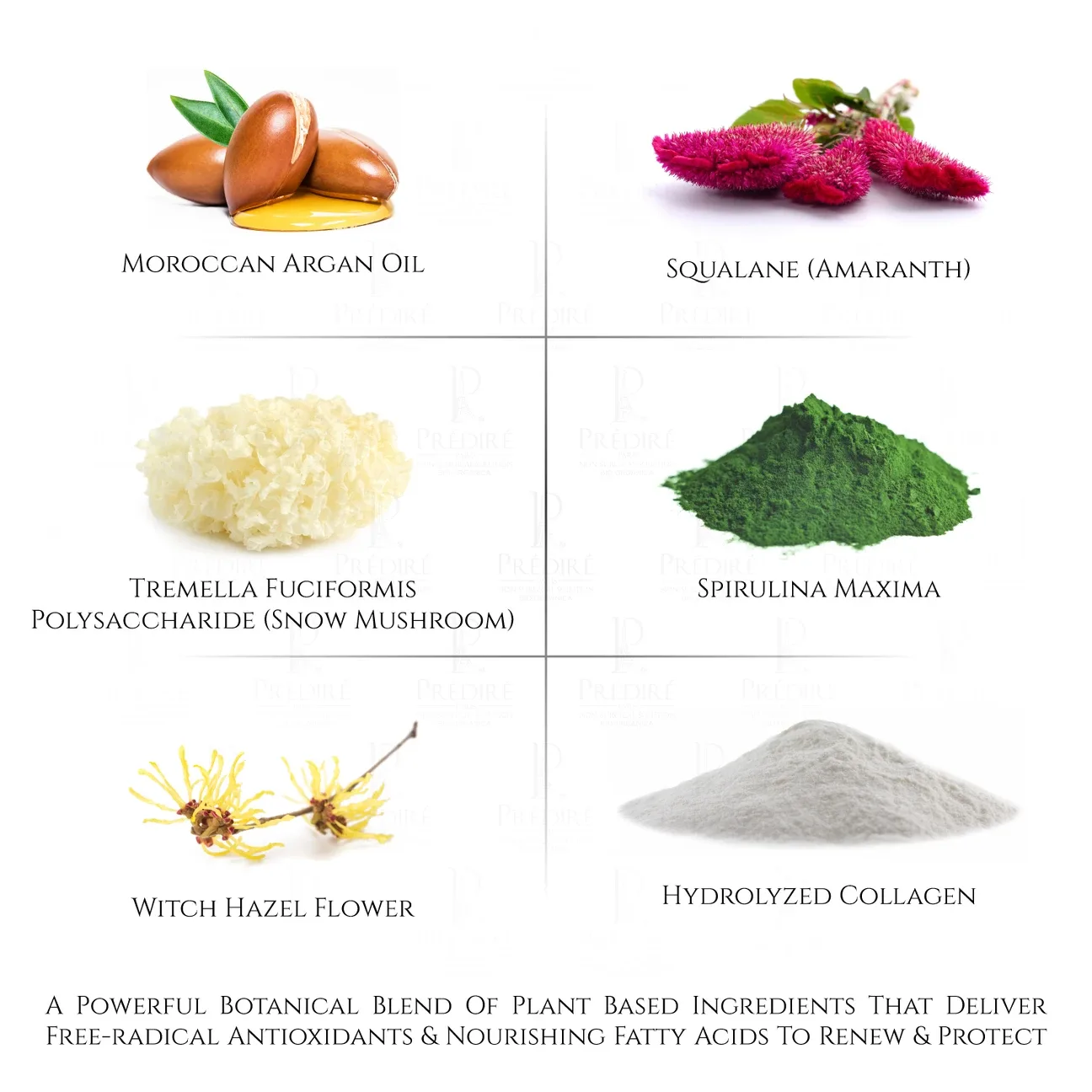 Predire Paris Caviar Hyaluronic Acid Collection image indicator(9)