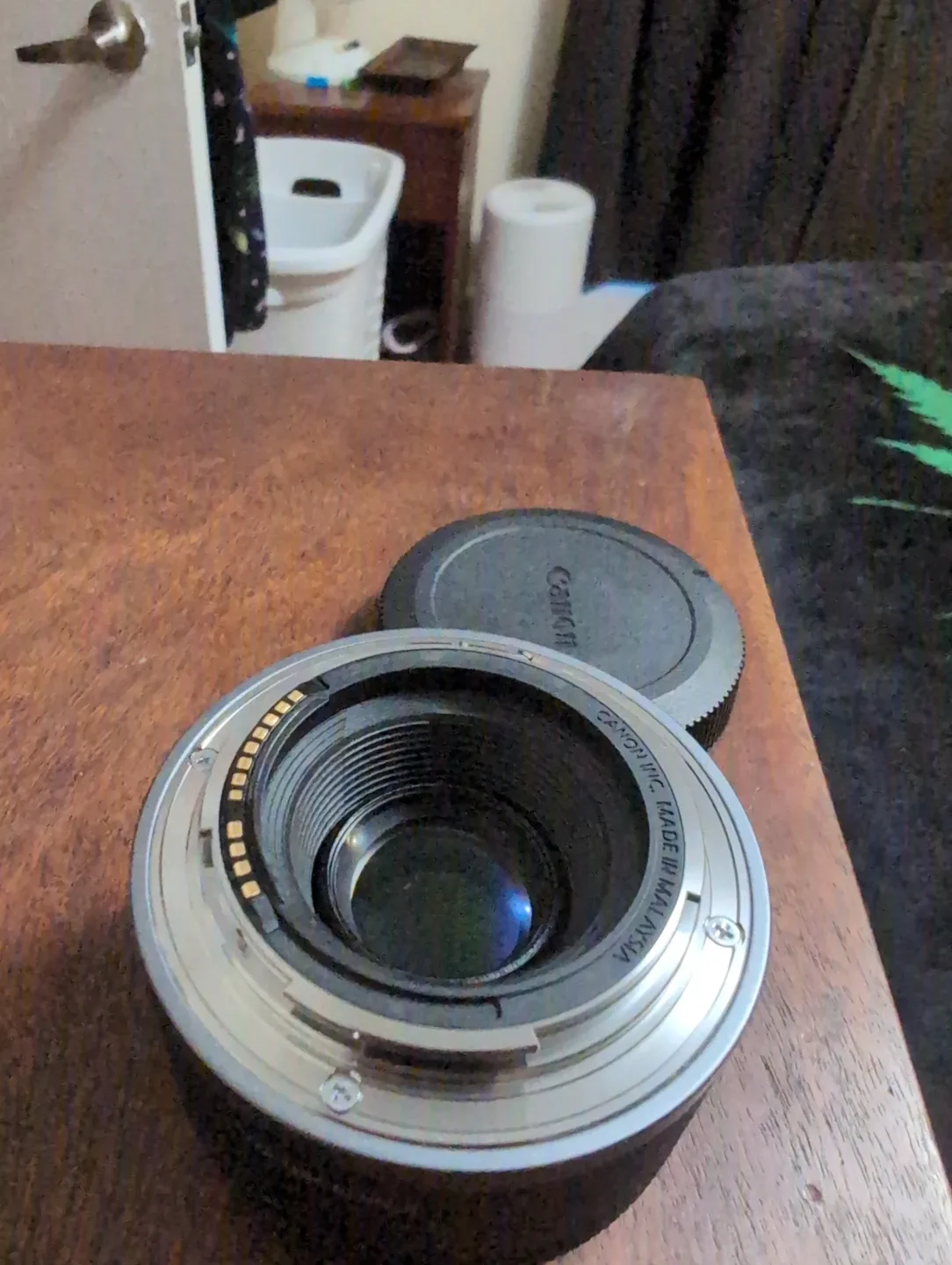 Canon RF 50mm F1.8 STM Lens 🥕 image indicator(4)