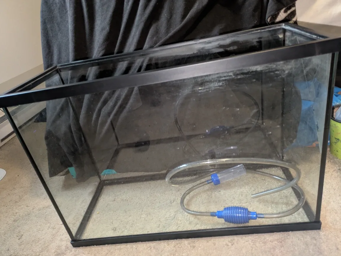 29 gallon fish tank