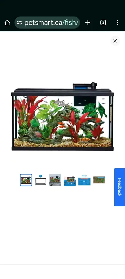 29 gallon fish tank image indicator(8)