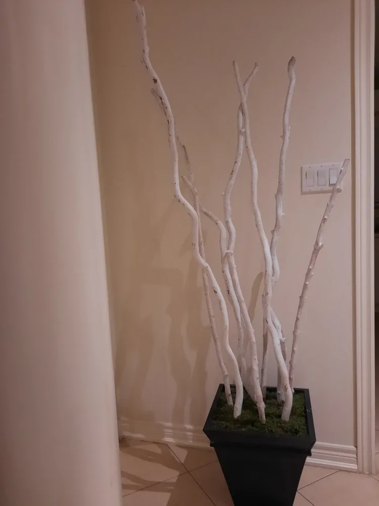 White Decorative Branches in Black Planter