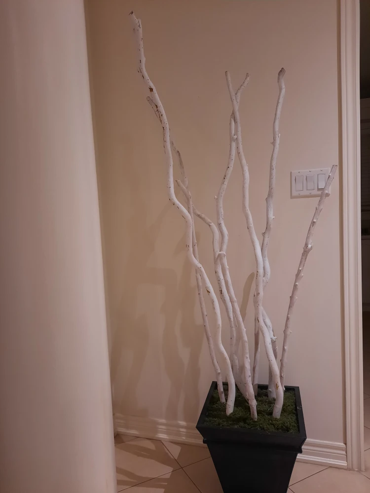 White Decorative Branches in Black Planter - photo 2