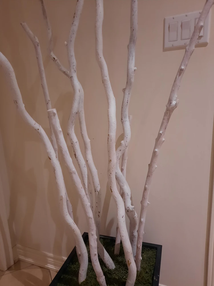 White Decorative Branches in Black Planter - photo 3