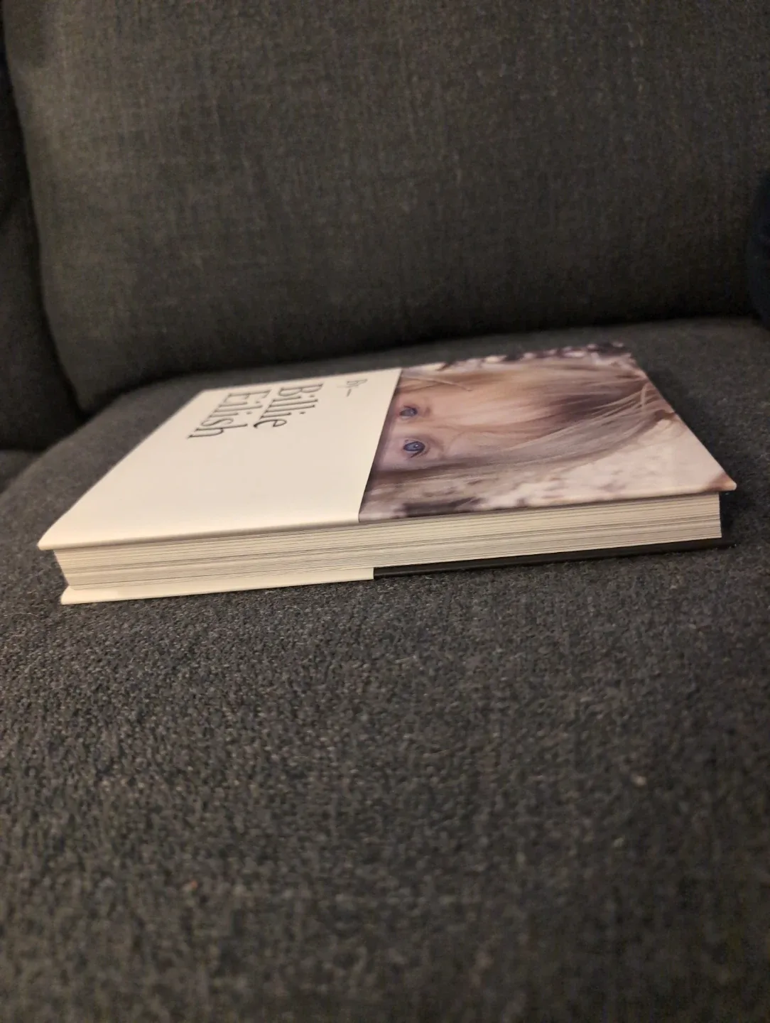 Billie Eilish by Billie Eilish Book image indicator(3)