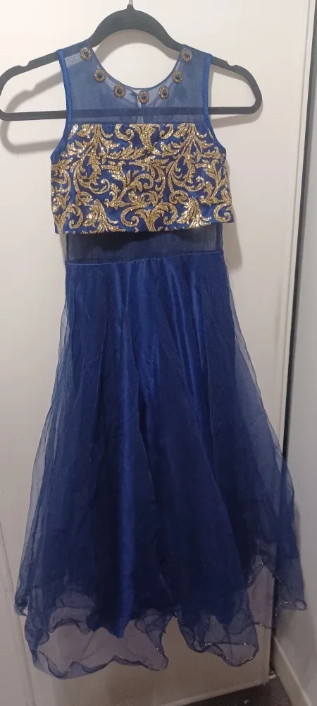 Blue & Gold Dress