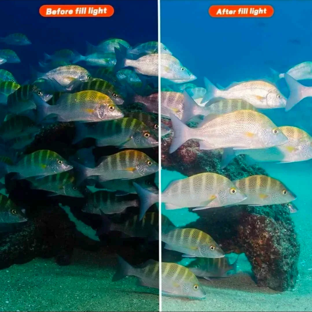 Sea Frogs ST-100-Pro Underwater Strobe image indicator(8)