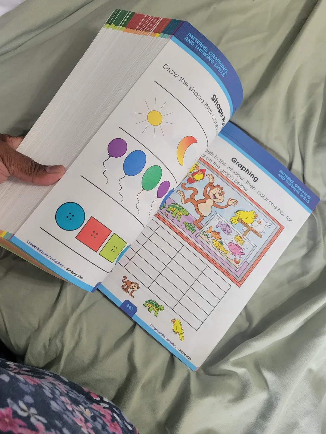 Curriculum book  - Kindergarten image indicator(3)