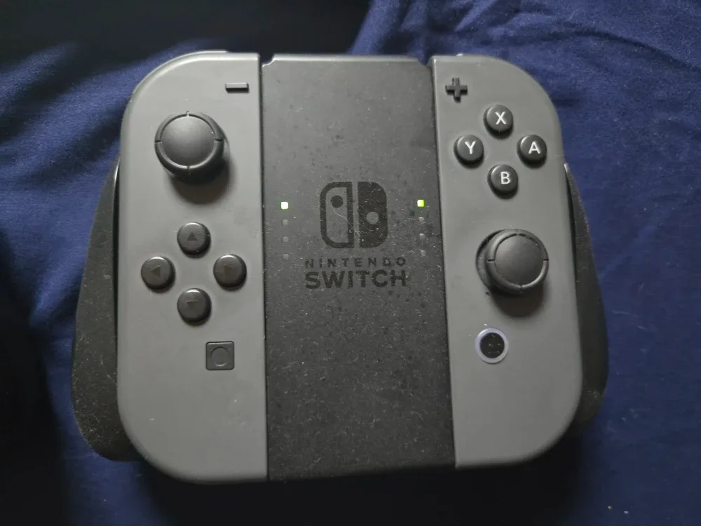 Nintendo Switch Console image indicator(3)