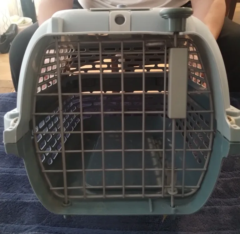 Dogit Voyageur Model 100 Small Pet Carrier