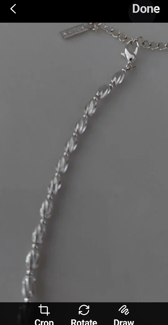 Napier Womens Necklace image indicator(2)