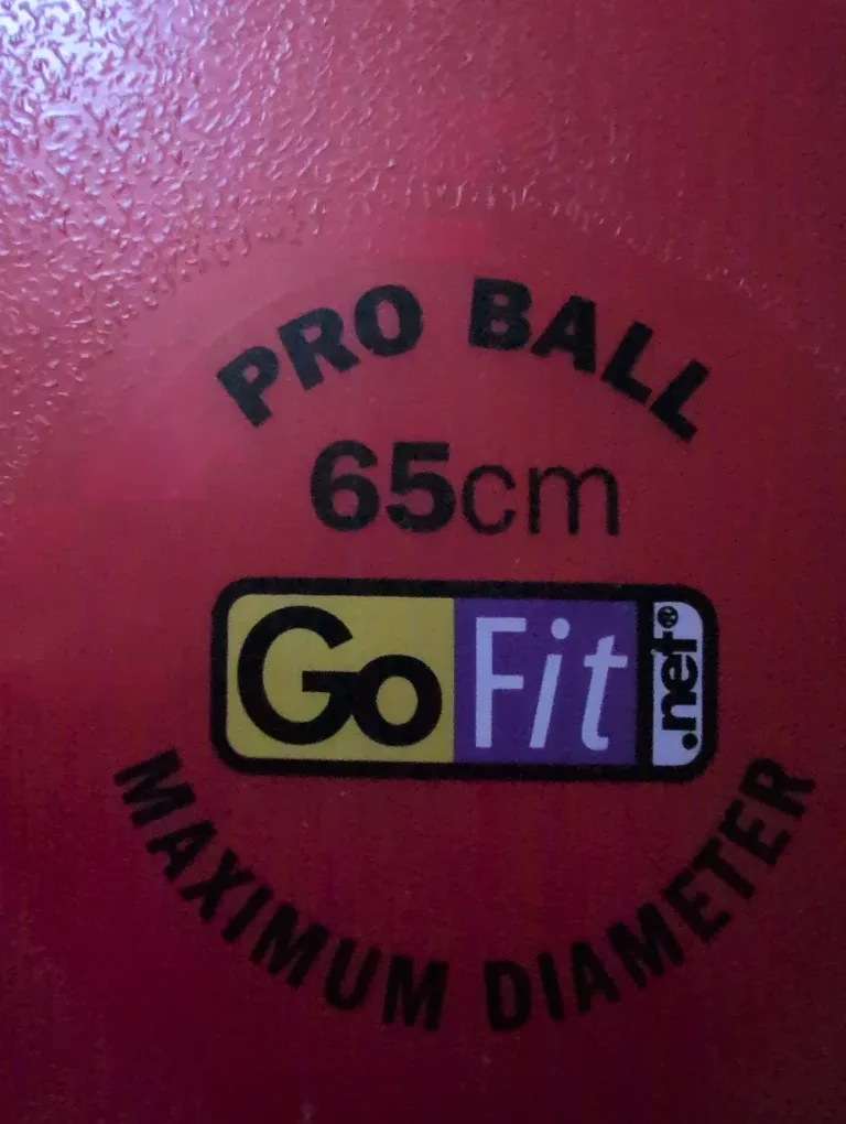 Go Fit Pro Ball - 65cm